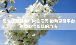 怎么在百度推广微信号码 借助百度平台增加微信粉丝的方法