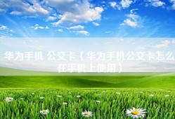 华为手机 公交卡（华为手机公交卡怎么在手机上使用）