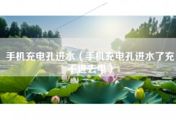 手机充电孔进水（手机充电孔进水了充不进去电）