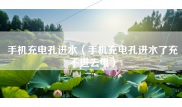 手机充电孔进水(手机充电孔进水了充不进去电)