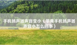 手机扬声器声音变小（苹果手机扬声器声音小怎么回事）