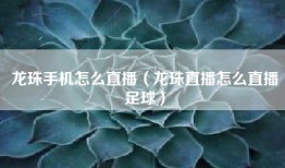 龙珠手机怎么直播（龙珠直播怎么直播足球）
