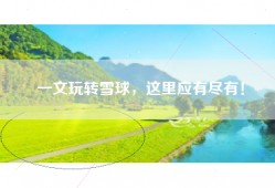一文玩转雪球，这里应有尽有！
