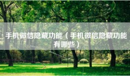 手机微信隐藏功能（手机微信隐藏功能有哪些）