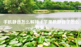 手机静音怎么解除（苹果机静音了怎么恢复）
