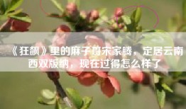 《狂飙》里的麻子哥宋家腾，定居云南西双版纳，现在过得怎么样了