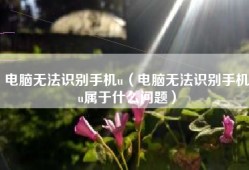 电脑无法识别手机u（电脑无法识别手机u属于什么问题）