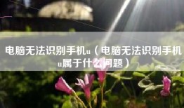 电脑无法识别手机u（电脑无法识别手机u属于什么问题）
