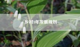 乡村3年发展规划