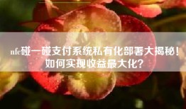 nfc碰一碰支付系统私有化部署大揭秘！如何实现收益最大化？