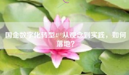 国企数字化转型：从观念到实践，如何落地？