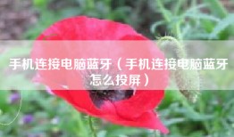 手机连接电脑蓝牙（手机连接电脑蓝牙怎么投屏）