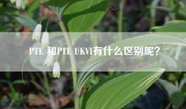 PTE 和PTE UKVI有什么区别呢？