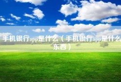手机银行app是什么（手机银行app是什么东西）