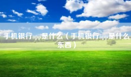 手机银行app是什么（手机银行app是什么东西）
