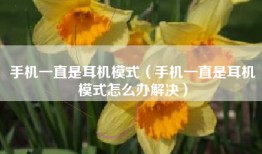 手机一直是耳机模式（手机一直是耳机模式怎么办解决）