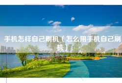 手机怎样自己刷机（怎么用手机自己刷机）