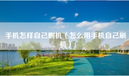 手机怎样自己刷机（怎么用手机自己刷机）