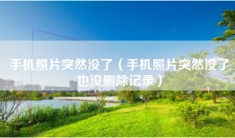 手机照片突然没了（手机照片突然没了也没删除记录）