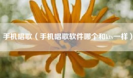 手机唱歌（手机唱歌软件哪个和ktv一样）