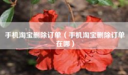 手机淘宝删除订单（手机淘宝删除订单在哪）