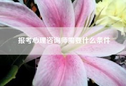 报考心理咨询师需要什么条件