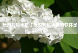 玩游戏赢手机（玩游戏赢手机的软件是真的吗）