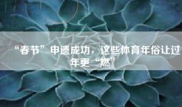 “春节”申遗成功，这些体育年俗让过年更“燃”