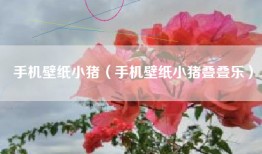 手机壁纸小猪（手机壁纸小猪叠叠乐）