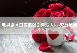 电视剧《白夜追凶》幕后大boss究竟是谁？