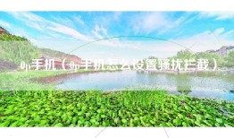 0p手机（0p手机怎么设置骚扰拦截）