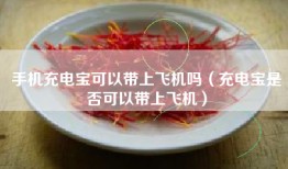 手机充电宝可以带上飞机吗（充电宝是否可以带上飞机）