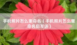 手机照片怎么重命名（手机照片怎么重命名后发送）