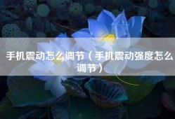 手机震动怎么调节（手机震动强度怎么调节）