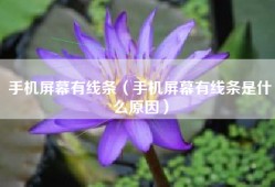 手机屏幕有线条（手机屏幕有线条是什么原因）