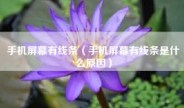 手机屏幕有线条（手机屏幕有线条是什么原因）