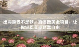 出海赚钱不是梦，直播撸美金项目，让你轻松实现财富自由