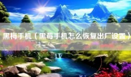 黑梅手机（黑莓手机怎么恢复出厂设置）