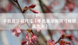 手机显示屏尺寸（手机显示屏尺寸规格表大全）
