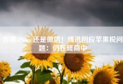 你要iPhone还是微信！腾讯回应苹果税问题：仍在磋商中