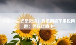 你要iPhone还是微信！腾讯回应苹果税问题：仍在磋商中