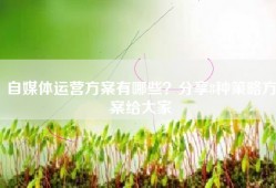 自媒体运营方案有哪些？分享8种策略方案给大家