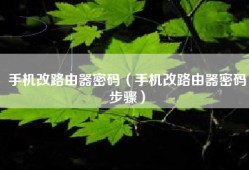 手机改路由器密码（手机改路由器密码步骤）