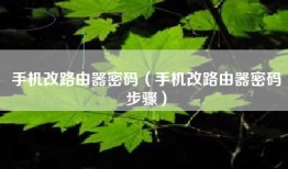 手机改路由器密码(手机改路由器密码步骤)