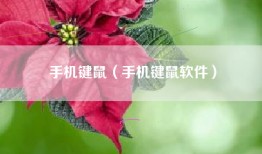 手机键鼠（手机键鼠软件）
