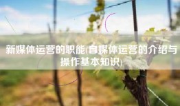 新媒体运营的职能(自媒体运营的介绍与操作基本知识)