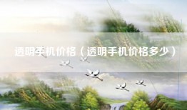 透明手机价格（透明手机价格多少）