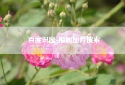 百度识图-相同图片搜索