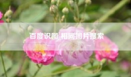 百度识图-相同图片搜索