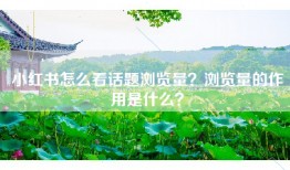 小红书怎么看话题浏览量？浏览量的作用是什么？